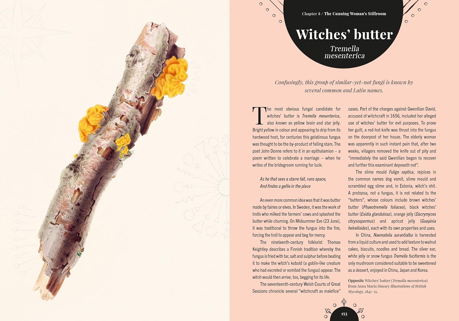 Kew - The Magic of Mushrooms : Fungi in folklore, superstition and traditional medicine
